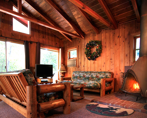2. Vista Cabin